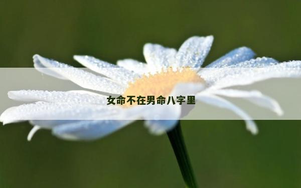 女命不在男命八字里