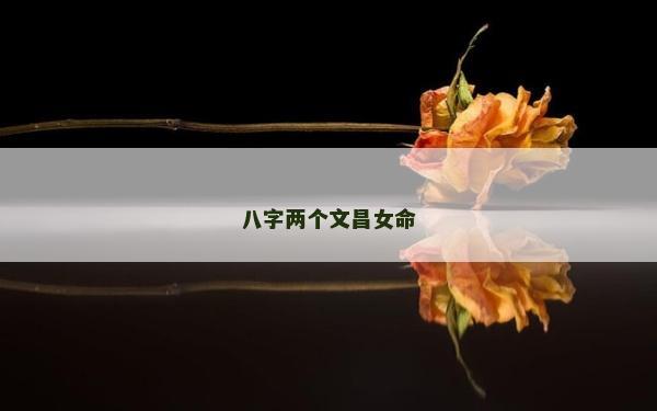 八字两个文昌女命