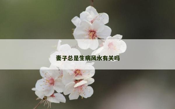 妻子总是生病风水有关吗