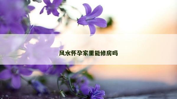 风水怀孕家里能修房吗