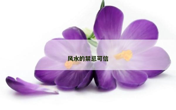 风水的禁忌可信