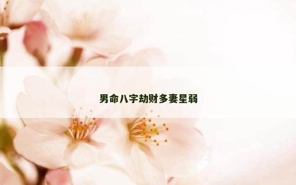 男命八字劫财多妻星弱