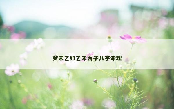 癸未乙卯乙未丙子八字命理