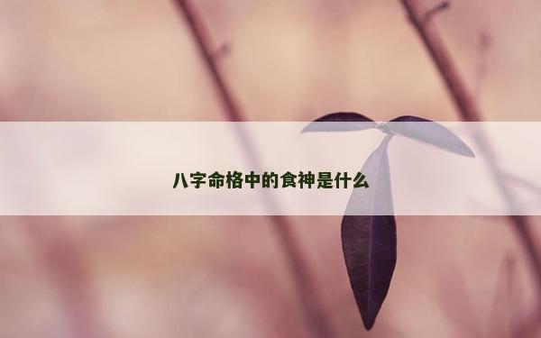 八字命格中的食神是什么