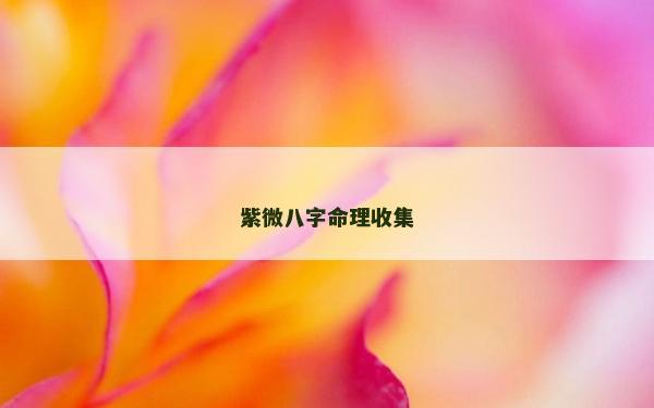 紫微八字命理收集
