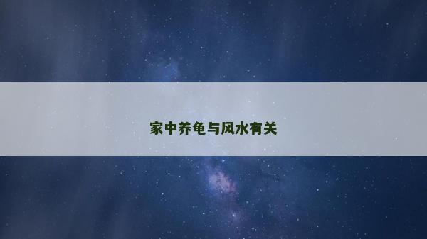 家中养龟与风水有关