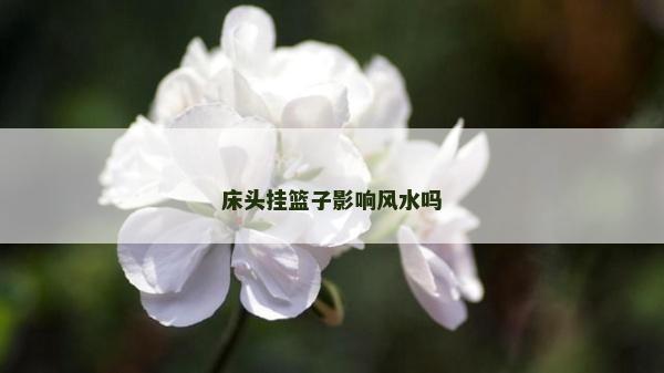 床头挂篮子影响风水吗