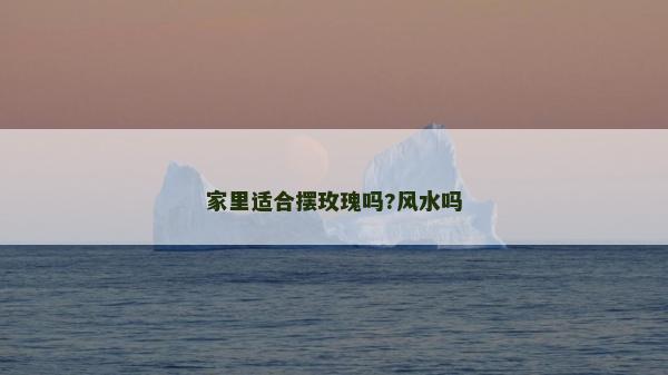 家里适合摆玫瑰吗?风水吗