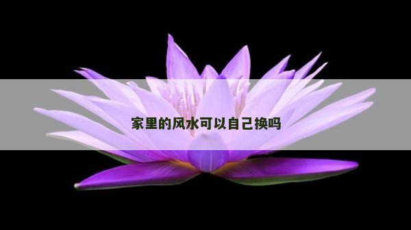 家里的风水可以自己换吗