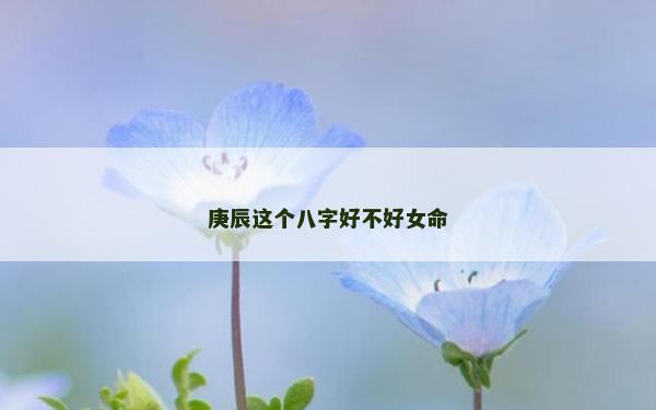 庚辰这个八字好不好女命