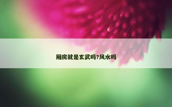 厢房就是玄武吗?风水吗