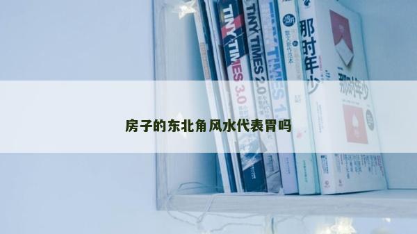 房子的东北角风水代表胃吗