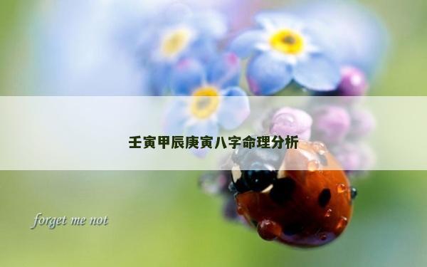 壬寅甲辰庚寅八字命理分析