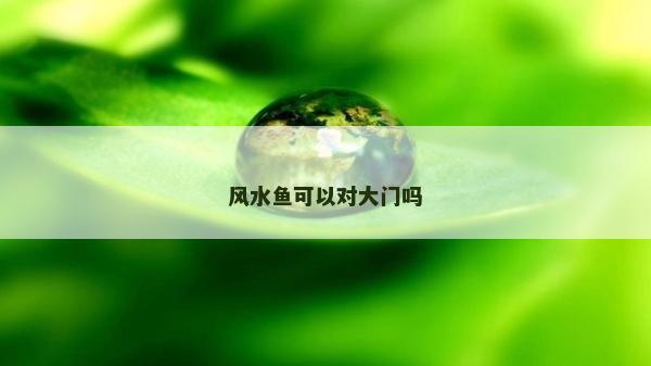 风水鱼可以对大门吗