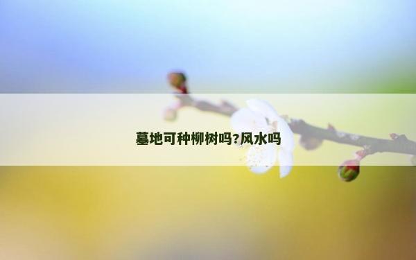 墓地可种柳树吗?风水吗