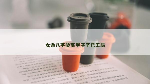 女命八字葵亥甲子辛已壬辰