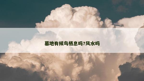 墓地有候鸟栖息吗?风水吗