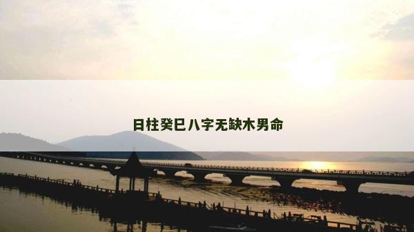 日柱癸巳八字无缺木男命