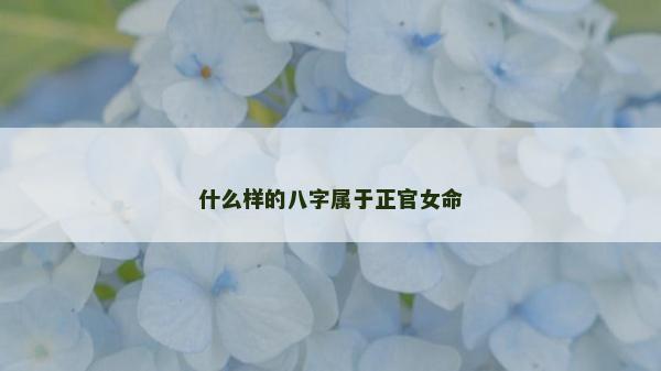 什么样的八字属于正官女命