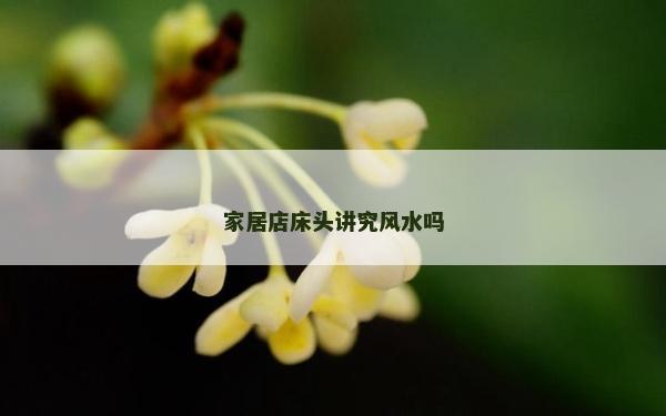 家居店床头讲究风水吗