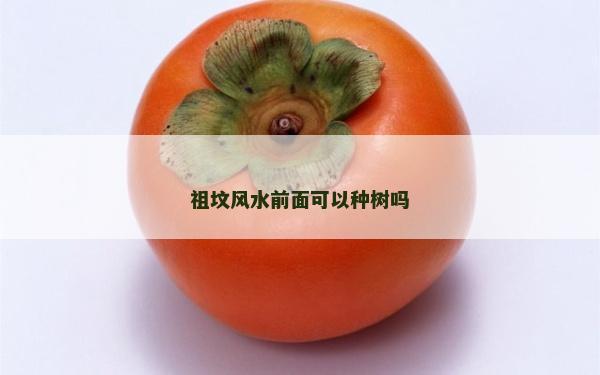 祖坟风水前面可以种树吗