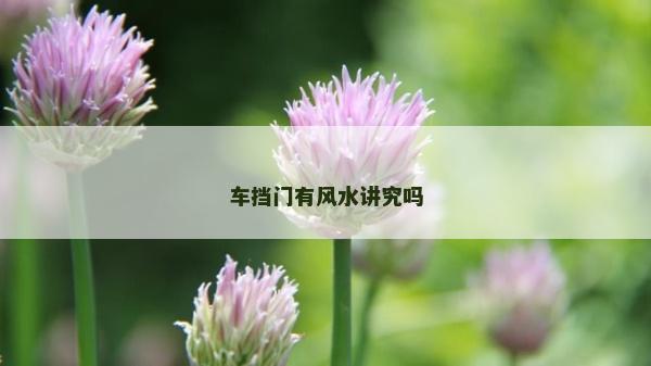 车挡门有风水讲究吗