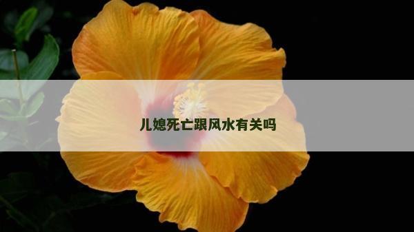 儿媳死亡跟风水有关吗