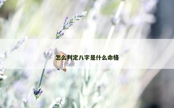 怎么判定八字是什么命格