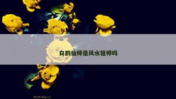 白鹤仙师是风水祖师吗