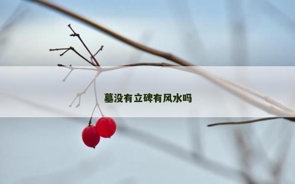 墓没有立碑有风水吗