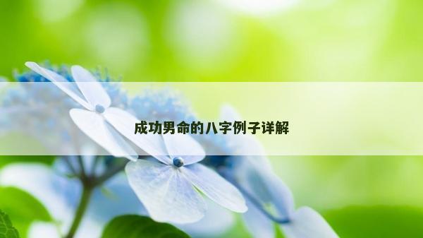 成功男命的八字例子详解