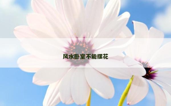 风水卧室不能摆花