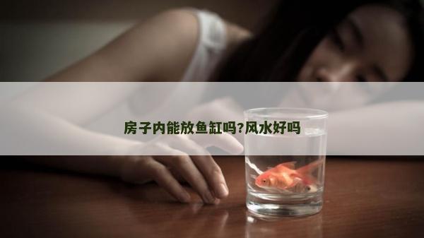 房子内能放鱼缸吗?风水好吗