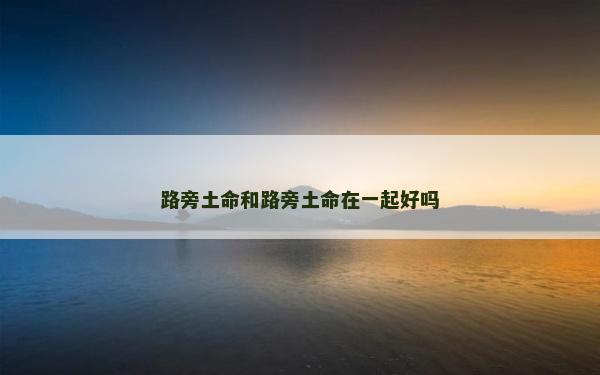 路旁土命和路旁土命在一起好吗