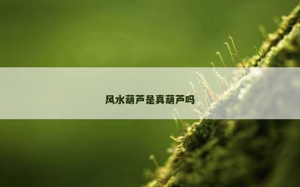 风水葫芦是真葫芦吗