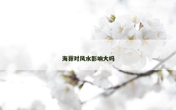 海葬对风水影响大吗