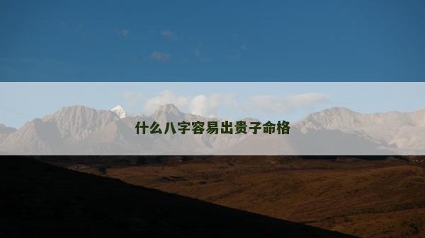 什么八字容易出贵子命格