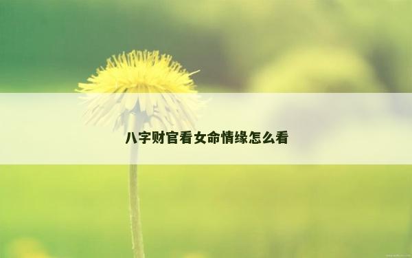 八字财官看女命情缘怎么看
