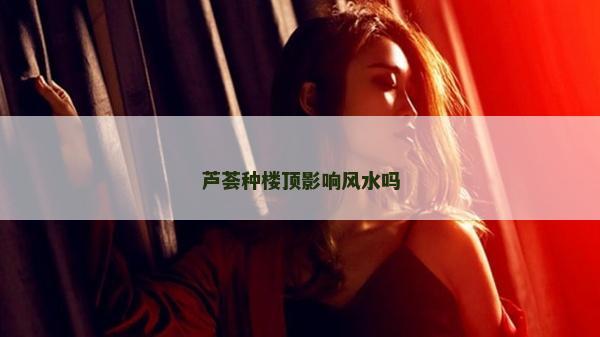 芦荟种楼顶影响风水吗