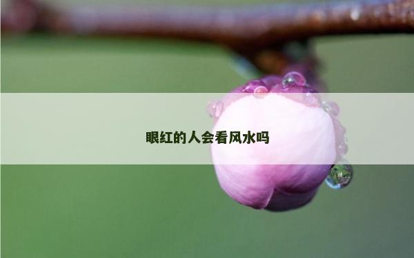 眼红的人会看风水吗