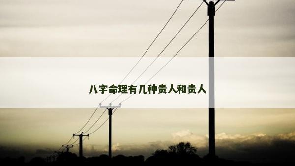 八字命理有几种贵人和贵人