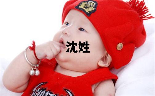 沈姓优美大方的女孩名字,取什么名字好
