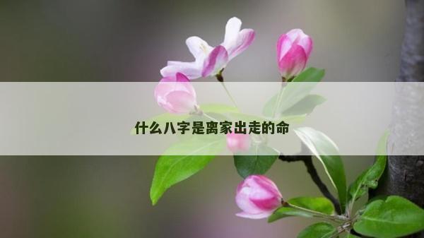什么八字是离家出走的命