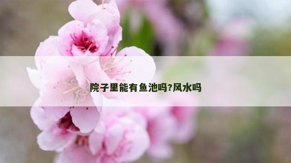 院子里能有鱼池吗?风水吗