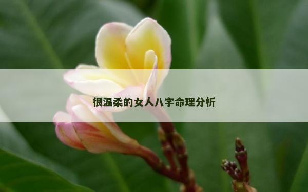很温柔的女人八字命理分析