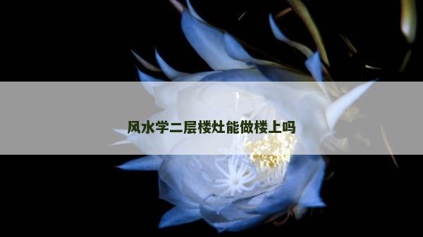 风水学二层楼灶能做楼上吗