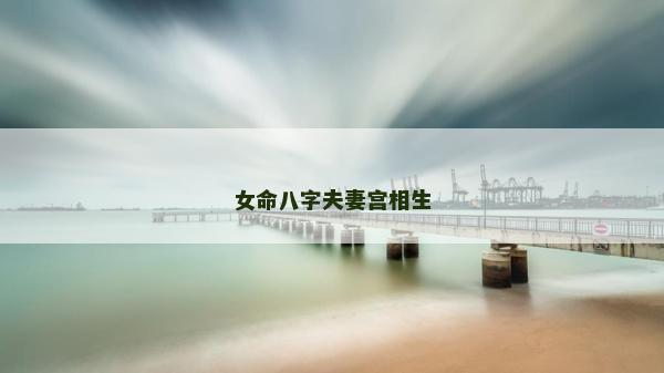 女命八字夫妻宫相生