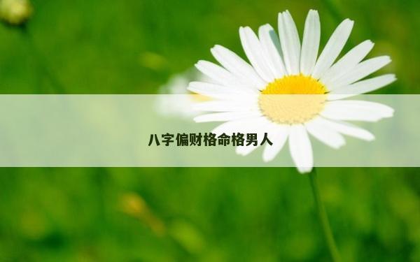 八字偏财格命格男人