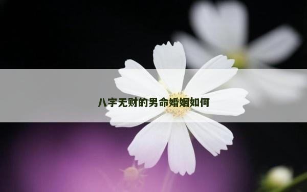 八字无财的男命婚姻如何