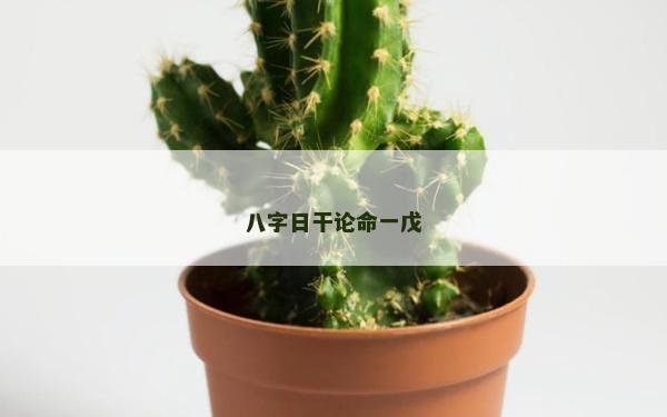 八字日干论命一戊